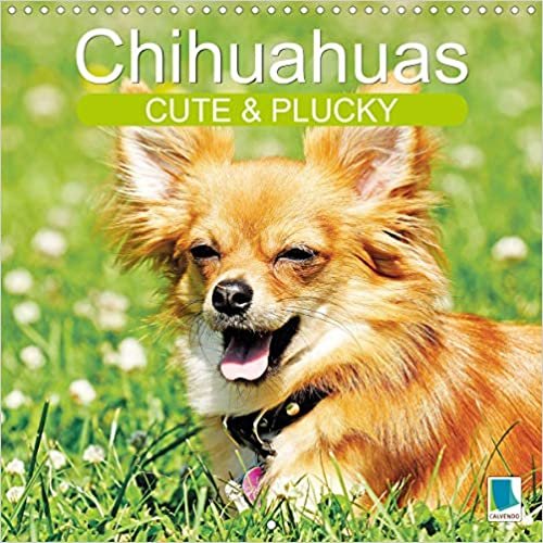 Chihuahuas: Cute and plucky (Wall Calendar 2021 300 × 300 mm Square): The smallest dog breed in the world (Monthly calendar, 14 pages )