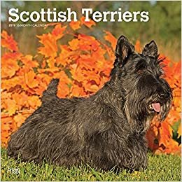 Scottish Terriers 2019 Calendar