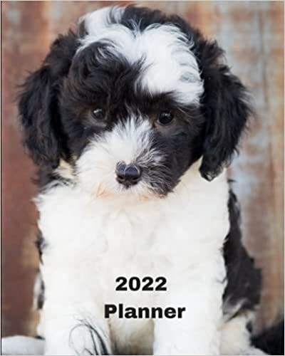 2022 Planner: Sheepadoodle Puppy -12 Month Planner January 2021 to December 2022 Monthly Calendar with U.S./UK/ Canadian/Christian/Jewish/Muslim ... in Review/Notes 8 x 10 in.- Dog Breed Pets indir