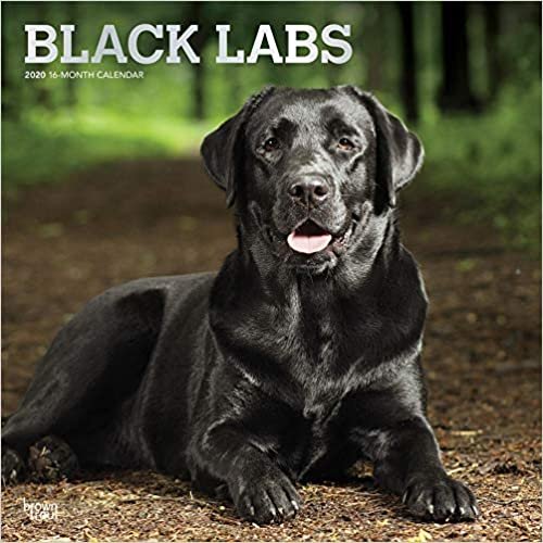 Black Labs 2020 Calendar ダウンロード