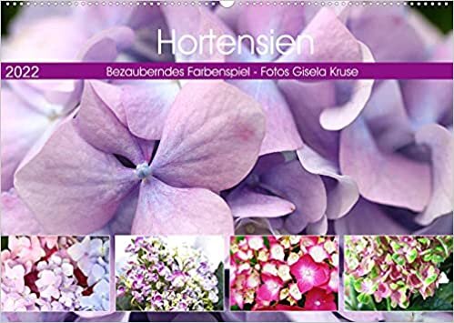 Hortensien Bezauberndes Farbenspiel (Wandkalender 2022 DIN A2 quer): Faszinierende Hydrangeas in beeindruckender Farbenvielfalt (Monatskalender, 14 Seiten )