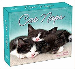 Cat Naps B 2019 indir