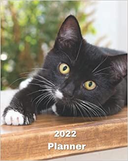 2022 Planner: Black Kitten - 12 Month Weekly and Monthly Planner January 2022 to December 2022 -Monthly Calendar with U.S./UK/ ... 8 x 10 in.- Cats Breed Pets Kittens indir