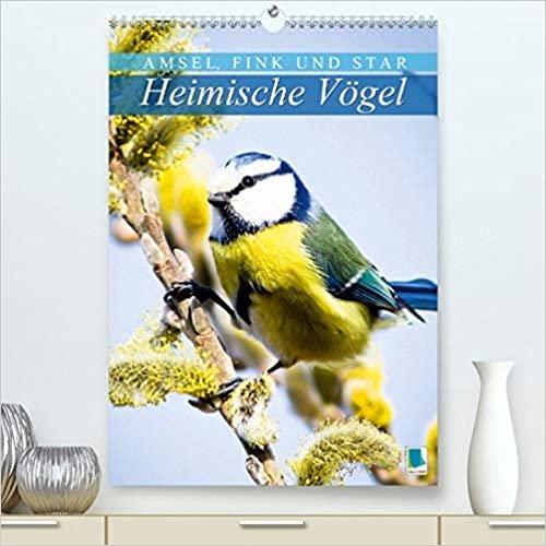 Amsel, Fink und Star: Heimische Voegel (Premium, hochwertiger DIN A2 Wandkalender 2021, Kunstdruck in Hochglanz): So vielfaeltig ist die heimische Vogelwelt (Monatskalender, 14 Seiten )