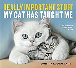 ダウンロード  Really Important Stuff My Cat Has Taught Me (English Edition) 本