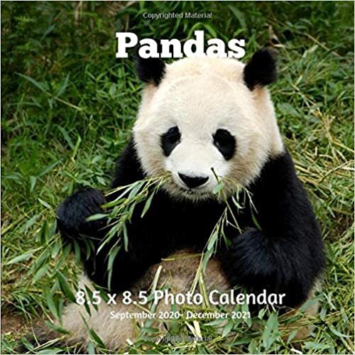 Panda 8.5 X 8.5 Calendar September 2020 -December 2021: Monthly Calendar with U.S./UK/ Canadian/Christian/Jewish/Muslim Holidays-Nature Animals Wildlife indir