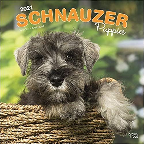 ダウンロード  Schnauzer Puppies 2021 Calendar 本