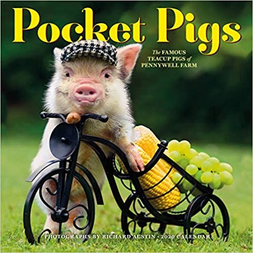 Pocket Pigs 2020 Calendar: The Famous Teacup Pigs of Pennywell Farm