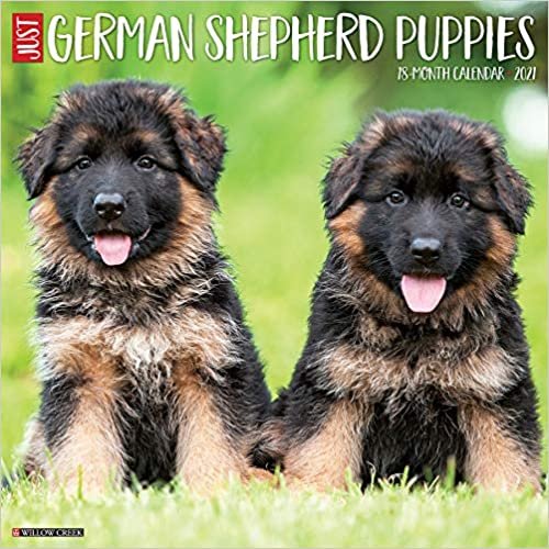 ダウンロード  Just German Shepherd Puppies 2021 Calendar 本