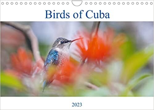ダウンロード  Birds of Cuba Island (Wall Calendar 2023 DIN A4 Landscape): Colorfoul birds of Cuba Island (Monthly calendar, 14 pages ) 本