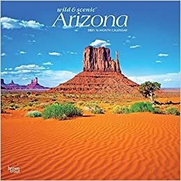 ダウンロード  Wild & Scenic Arizona 2021 Calendar 本