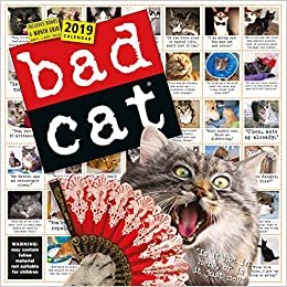 Bad Cat 2019 Calendar