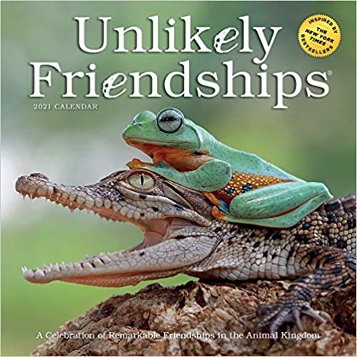 ダウンロード  Unlikely Friendships 2021 Calendar 本