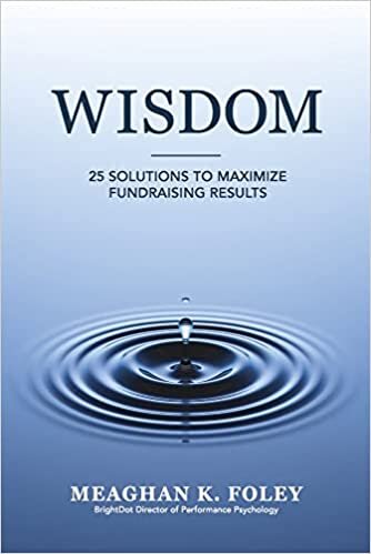 تحميل Wisdom: 25 Solutions to Maximize Fundraising Results