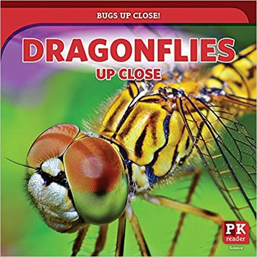 Dragonflies Up Close