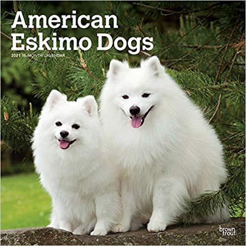 ダウンロード  American Eskimo Dogs 2021 Calendar 本