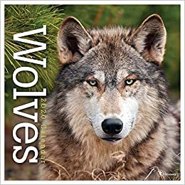 ダウンロード  Wolves 2020 Calendar 本