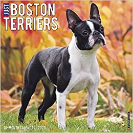ダウンロード  Just Boston Terriers 2020 Calendar 本