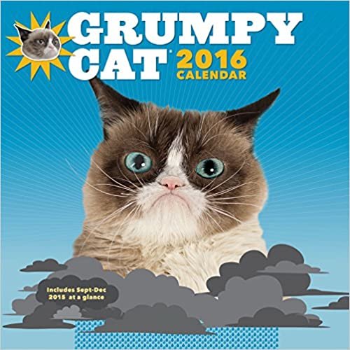 ダウンロード  Grumpy Cat 2016 Wall Calendar 本