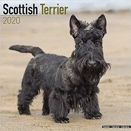ダウンロード  Scottish Terrier Calendar 2020 本