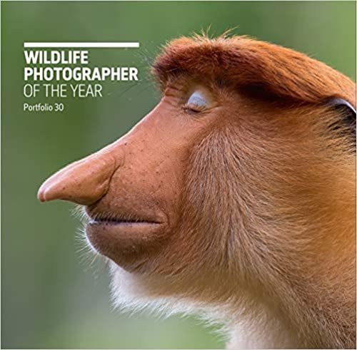 ダウンロード  Wildlife Photographer of the Year: Portfolio 本