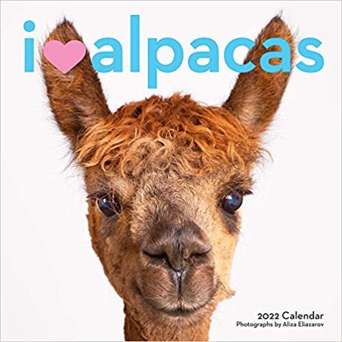I Heart Alpacas Wall Calendar 2022