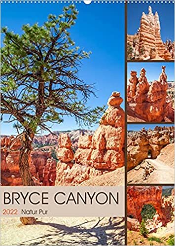 ダウンロード  BRYCE CANYON Natur Pur (Wandkalender 2022 DIN A2 hoch): Idylle im Suedwesten der USA (Monatskalender, 14 Seiten ) 本