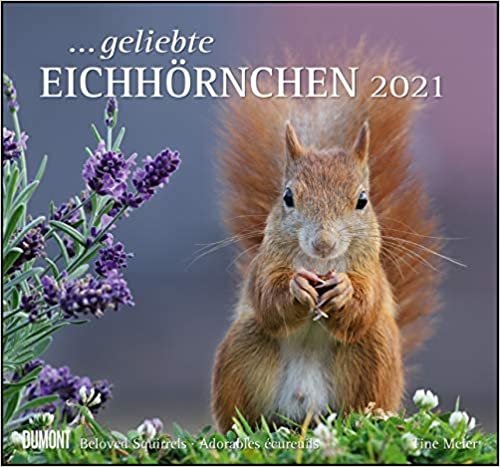 ... geliebte Eichhörnchen 2021 - DUMONT Wandkalender - mit den wichtigsten Feiertagen - Format 38,0 x 35,5 cm indir