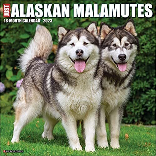 Just Alaskan Malamutes 2023 Wall Calendar