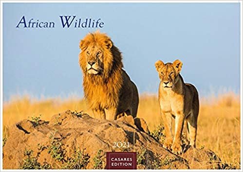 indir African Wildlife 2021 L 50x35cm