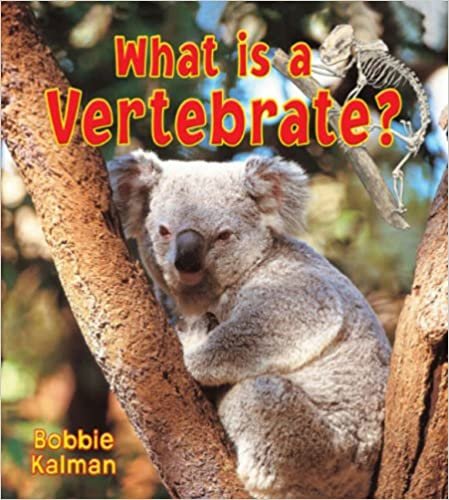 What Is a Vertebrate? (Big Science Ideas)