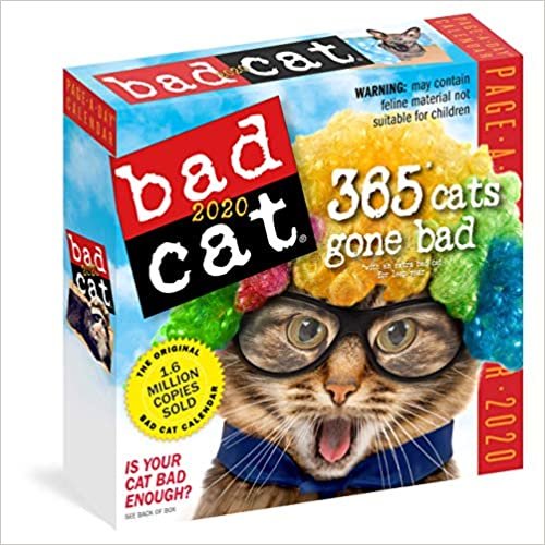 Bad Cat 2020 Calendar