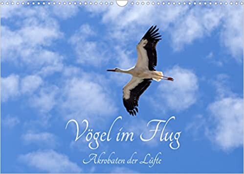 ダウンロード  Voegel im Flug - Akrobaten der Luefte (Wandkalender 2022 DIN A3 quer): Voegel fliegen in saemtlichen Kontinenten. (Monatskalender, 14 Seiten ) 本
