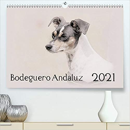 Bodeguero Andaluz 2021 (Premium, hochwertiger DIN A2 Wandkalender 2021, Kunstdruck in Hochglanz): Bodegueros - Wunderschoen gestalteter Kalender. Jedes Monatsmotiv gleicht einem kleinen Kunstwerk. (Monatskalender, 14 Seiten )