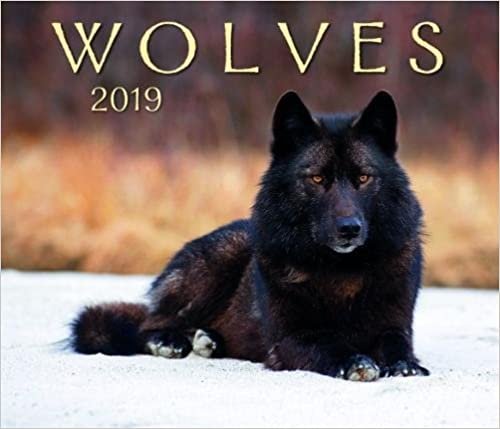 Wolves 2019