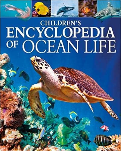 اقرأ Children's Encyclopedia of Ocean Life الكتاب الاليكتروني 