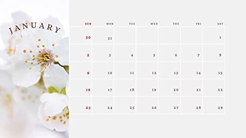 ダウンロード  Happy Wagon | 2022 Appointment Wall Calendar | 12 Page Flowers Splendou,Wall Hanging Calendar- 50 x 28 cm | Hand Illustrations - Digitally Printed: Calendar 2022 (English Edition) 本