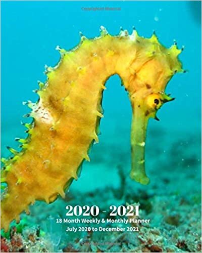 2020 - 2021 | 18 Month Weekly & Monthly Planner July 2020 to December 2021: Seahorse Marine LifeMonthly Calendar with U.S./UK/ ... in.- Economics Office Equipment & Supplies indir