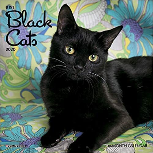 Just Black Cats 2020 Calendar