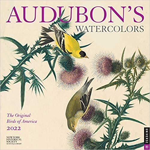 Audubon's Watercolors 2022 Wall Calendar: The Original Birds of America