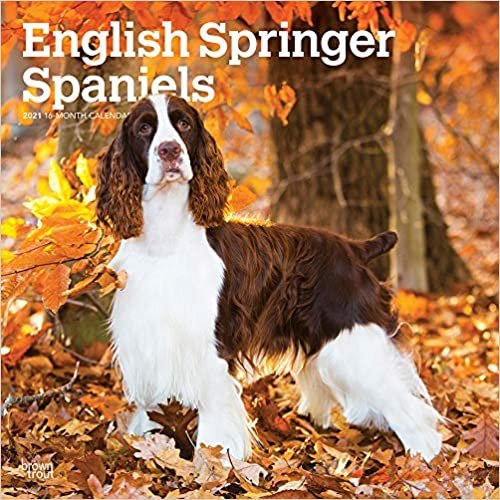 English Springer Spaniels 2021 - 16-Monatskalender mit freier DogDays-App: Original BrownTrout-Kalender [Mehrsprachig] [Kalender] (Wall-Kalender) indir