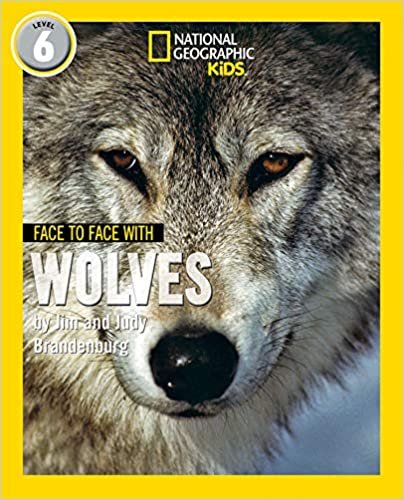 Face to Face with Wolves: Level 6