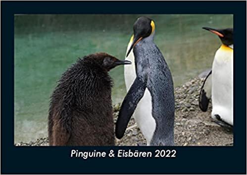 ダウンロード  Pinguine & Eisbaeren 2022 Fotokalender DIN A5: Monatskalender mit Bild-Motiven von Haustieren, Bauernhof, wilden Tieren und Raubtieren 本