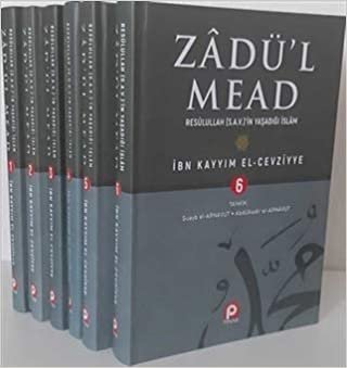 Zadü'l Mead (6 Kitap Takım): Resullullah (s.a.v.)'in Yaşadığı İslam indir