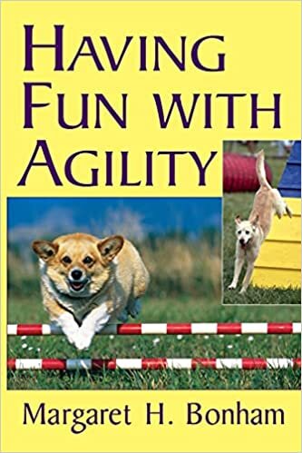 indir Having Fun with Agility without Competition (Howell Dog Book of Distinction (Paperback))