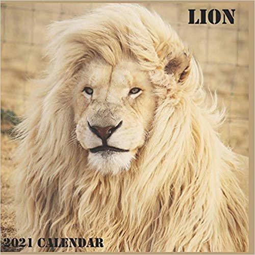 Lion Calendar 2021: 2021 Lion Calendar 8.5 x 8.5 glossy paper ダウンロード