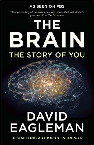 تحميل The المخ: قصة ً ا لك