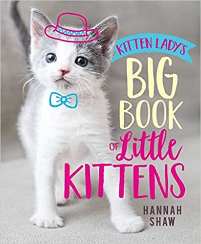 ダウンロード  Kitten Lady's Big Book of Little Kittens 本
