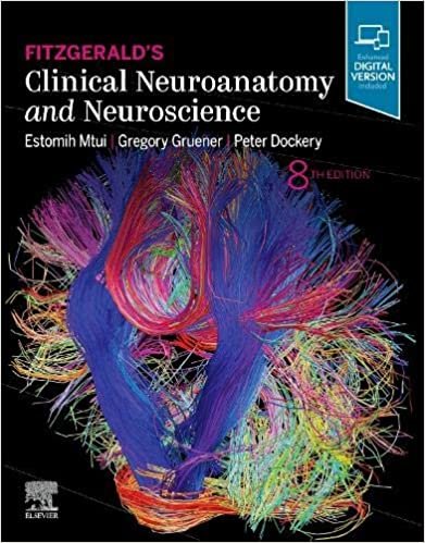 ダウンロード  Fitzgerald's Clinical Neuroanatomy and Neuroscience 本
