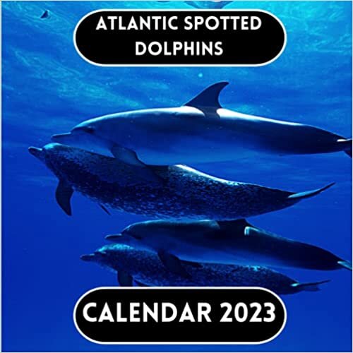 Atlantic Spotted Dolphins Calendar 2023